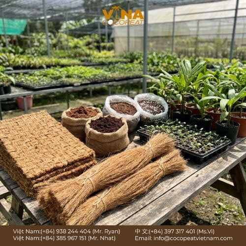 Khám phá 7 lợi ích của thảm xơ dừa cho vườn ươm: giữ ẩm, chống cỏ dại, bảo vệ đất, hỗ trợ rễ phát triển và canh tác bền vững.