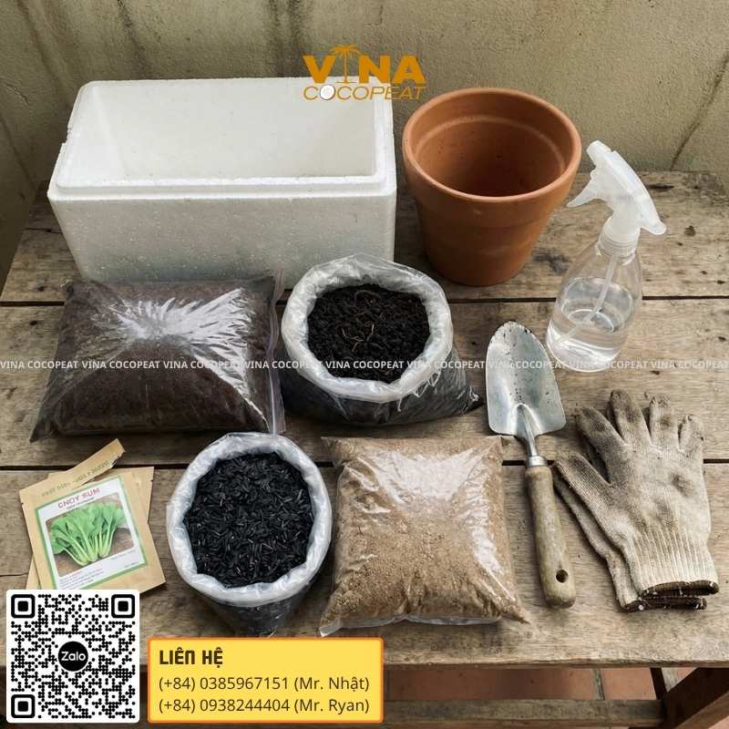 Chuẩn bị trước khi trồng cải ngồng