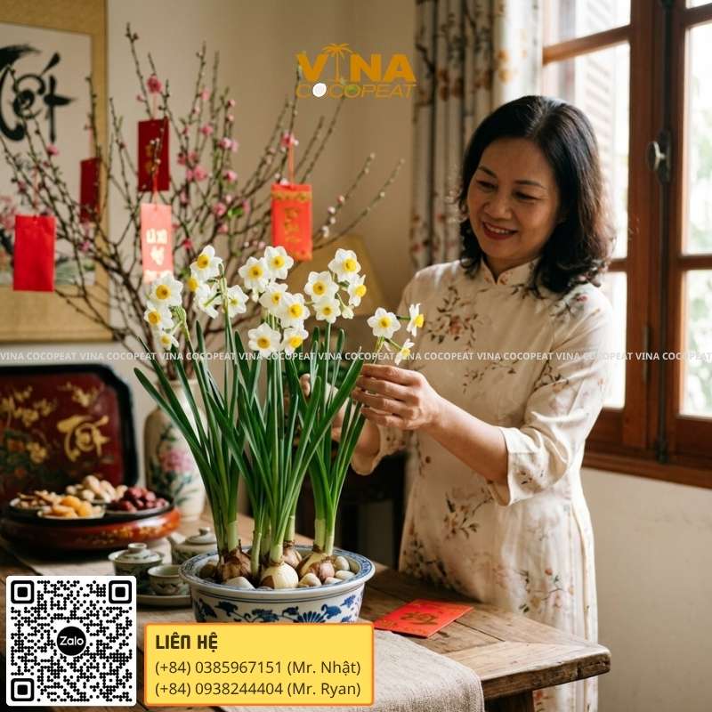 Hoa thủy tiên