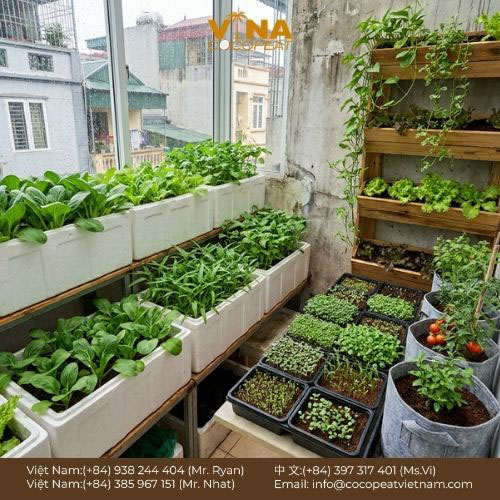 5 Cách Trồng Rau Sạch Trong Nhà Với Mụn Dừa