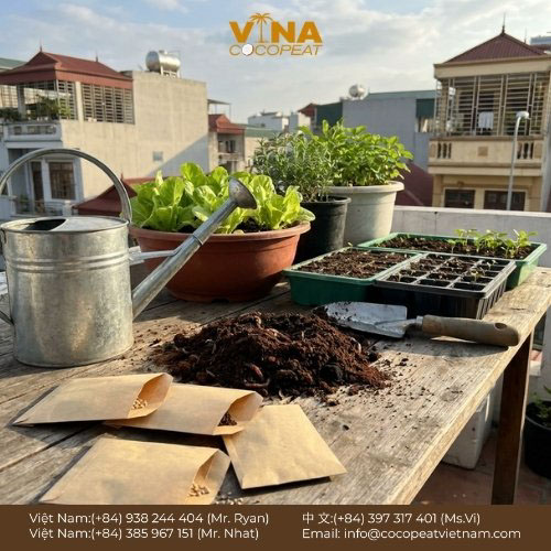 Khám phá 10 cách trồng rau sạch tại nhà trên ban công, sân thượng đơn giản, tiết kiệm, dễ áp dụng cho người mới bắt đầu và thu hoạch rau an toàn.