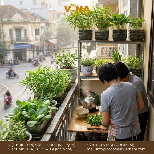 Khám phá 10 cách trồng rau sạch tại nhà trên ban công, sân thượng đơn giản, tiết kiệm, dễ áp dụng cho người mới bắt đầu và thu hoạch rau an toàn.