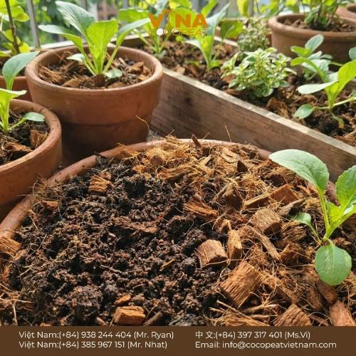 10 Công Dụng Tuyệt Vời Của Vỏ Dừa Khô Bạn Nên B