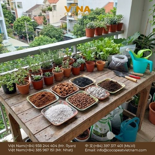 5 Bước Hiểu Rõ Giá Thể Là Gì & Tự Trộn Tiết Kiệm