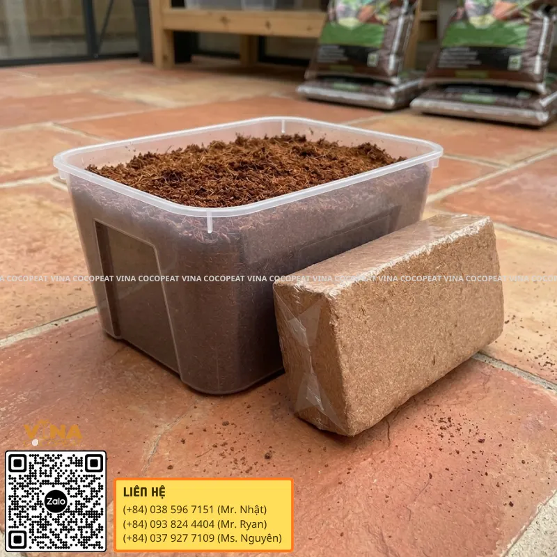 Cách ngâm nở mụn dừa 500g trước khi trồng rau sạch