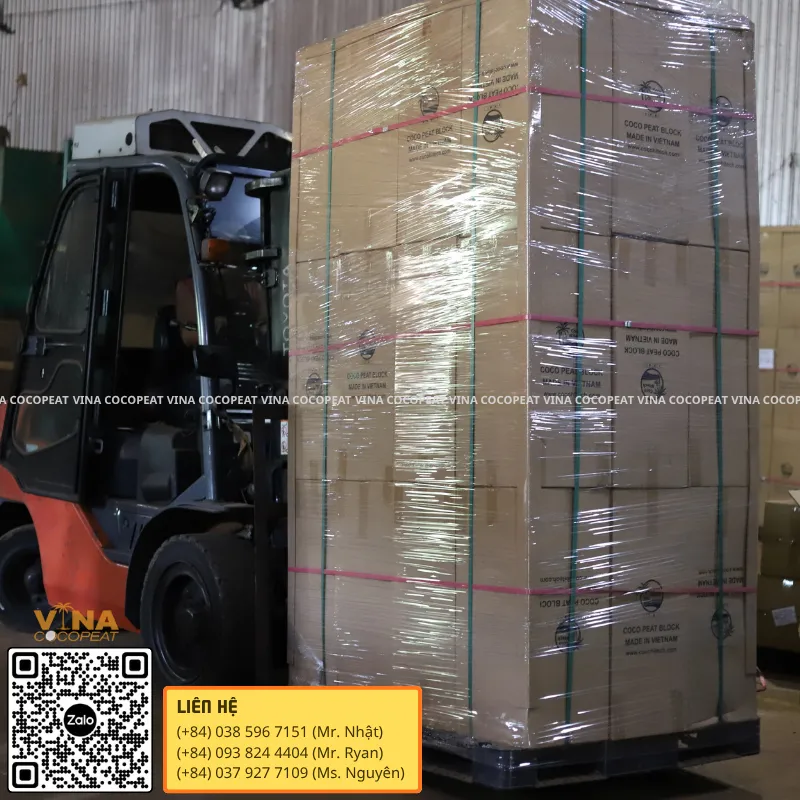 Xe nâng vận chuyển pallet mụn dừa đóng thùng tại nhà máy xuất khẩu Việt Nam