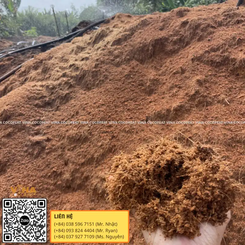 Giá thể mụn dừa nguyên liệu trước khi xử lý tanin và lignin tại nhà máy Vina Coco Peat