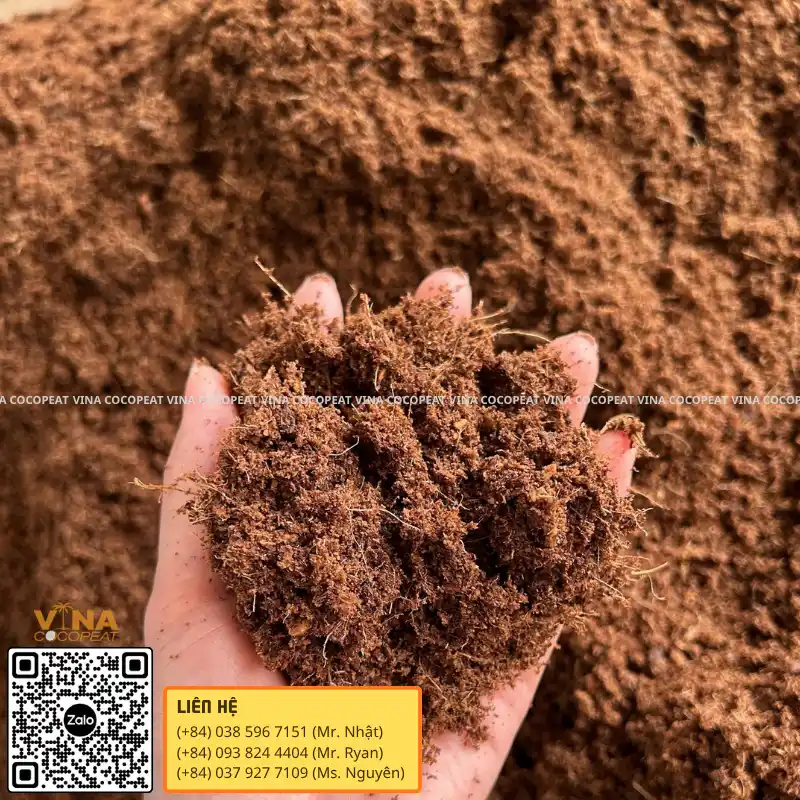 Giá thể mụn dừa tơi xốp dùng trong canh tác và cải tạo đất trồng