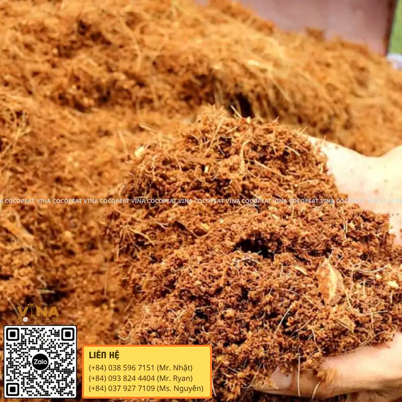 Giá thể mụn dừa tơi xốp đã xử lý dùng để trồng cây tại nhà