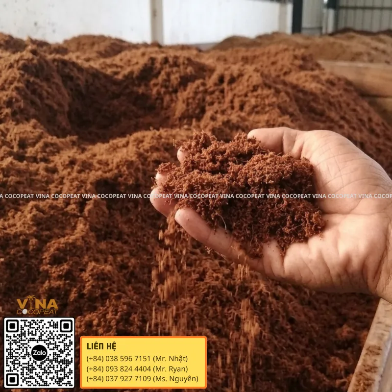 Giá thể mụn dừa đã xử lý tơi xốp dùng để trồng khoai tây