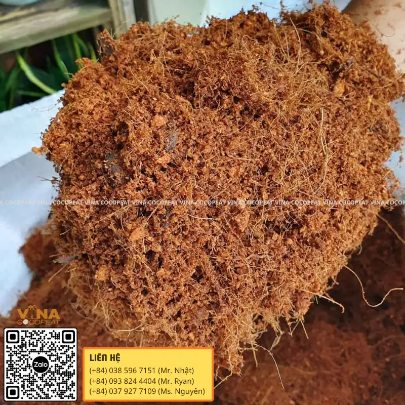 Giá thể mụn dừa tơi xốp dùng để ủ và xử lý trước khi trồng cây