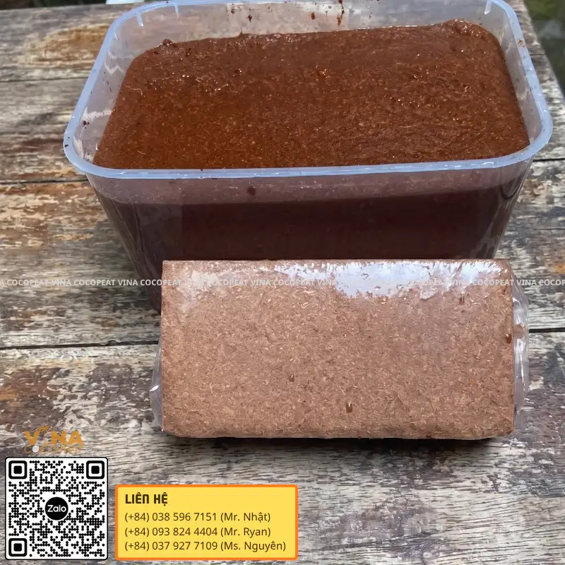 Mụn dừa ép khối sau khi ngâm nở thành giá thể trồng rau sạch