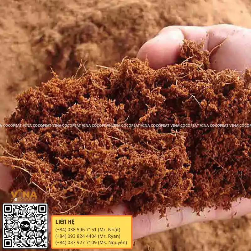 Giá thể xơ dừa đã xử lý dùng để trồng cây và phối trộn đất