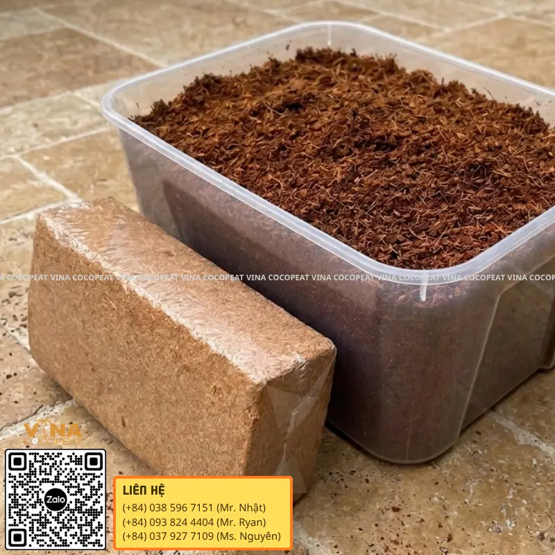Mụn dừa ép khối 500g trước và sau khi ngâm nở để trồng rau dền