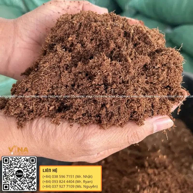 Mụn dừa đã qua xử lý sạch và tơi xốp dùng cho canh tác hữu cơ