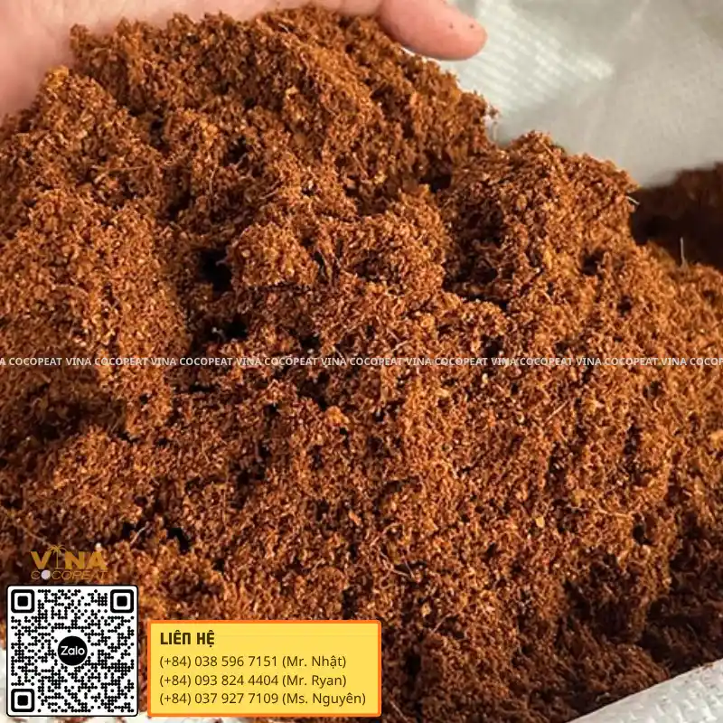 Cây Bằng Mụn Dừa, chèn sau nội dung Bí quyết 1: Sử dụng mụn dừa đã xử lý phù hợp Mụn dừa đã qua xử lý sạch chát và giảm độ mặn trước khi trồng cây