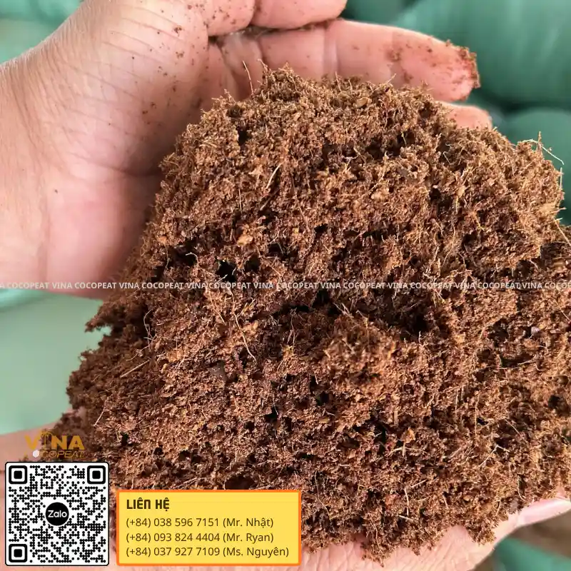 Mụn dừa đã xử lý sạch có màu nâu đồng đều và kết cấu tơi xốp