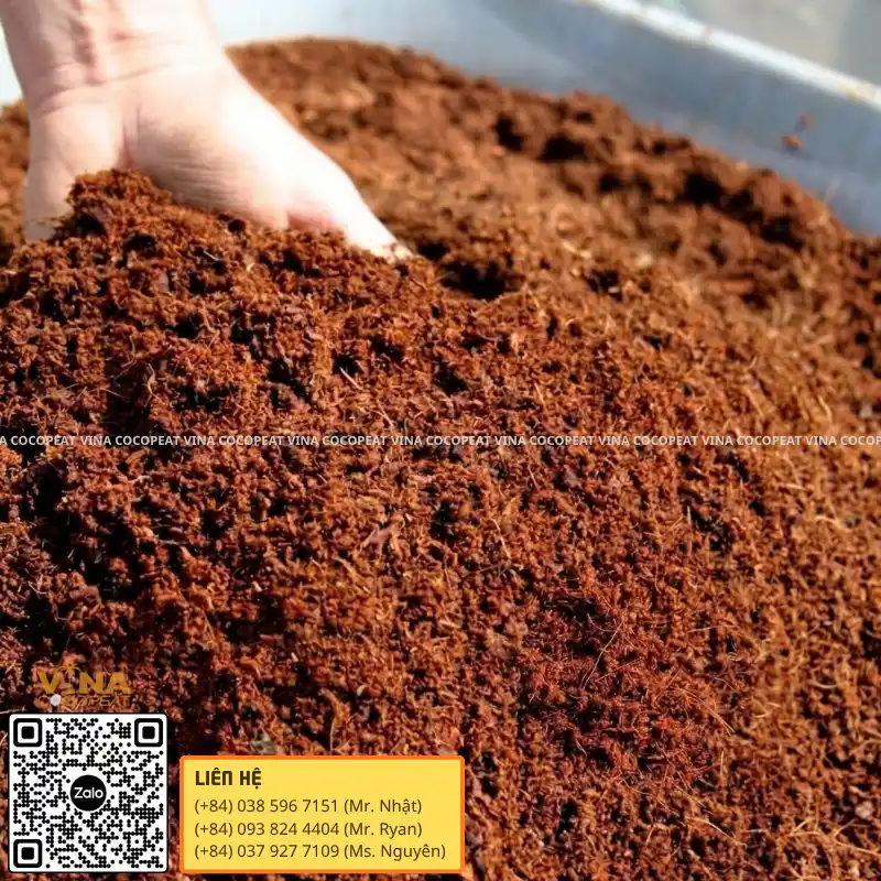 Mụn dừa đã xử lý tơi xốp dùng để phối trộn giá thể trồng cây