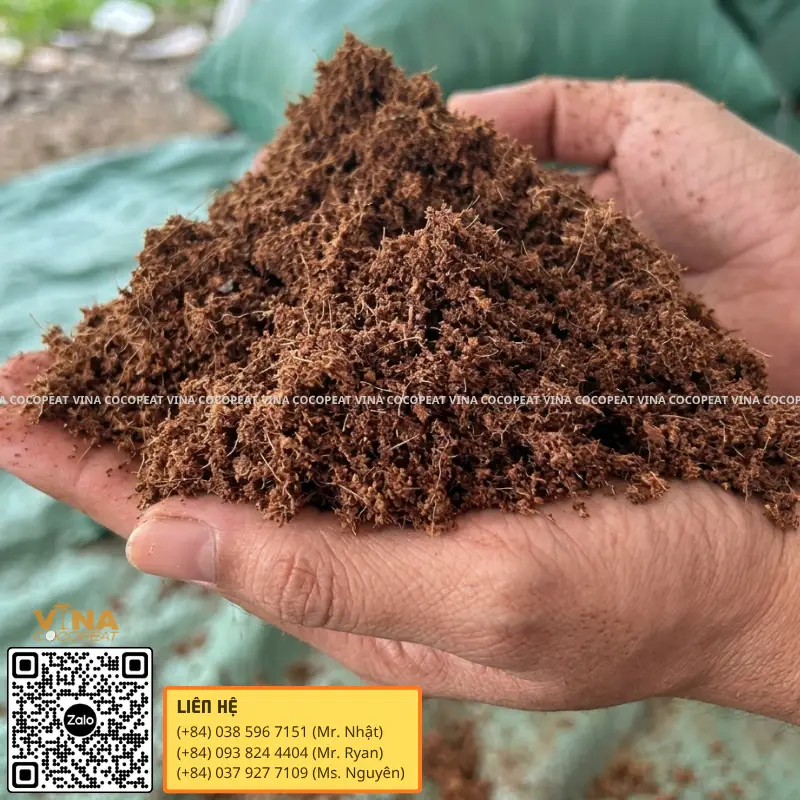 Mụn dừa đã xử lý tơi xốp dùng làm giá thể trồng cây