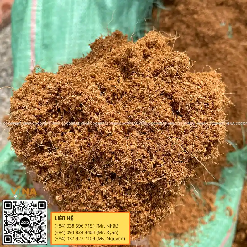 Mụn dừa đã xử lý từ Bến Tre với kết cấu tơi xốp dùng làm giá thể trồng cây