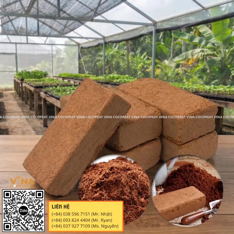 Mụn dừa ép bánh 500g và các loại mụn dừa ép khối phổ biến