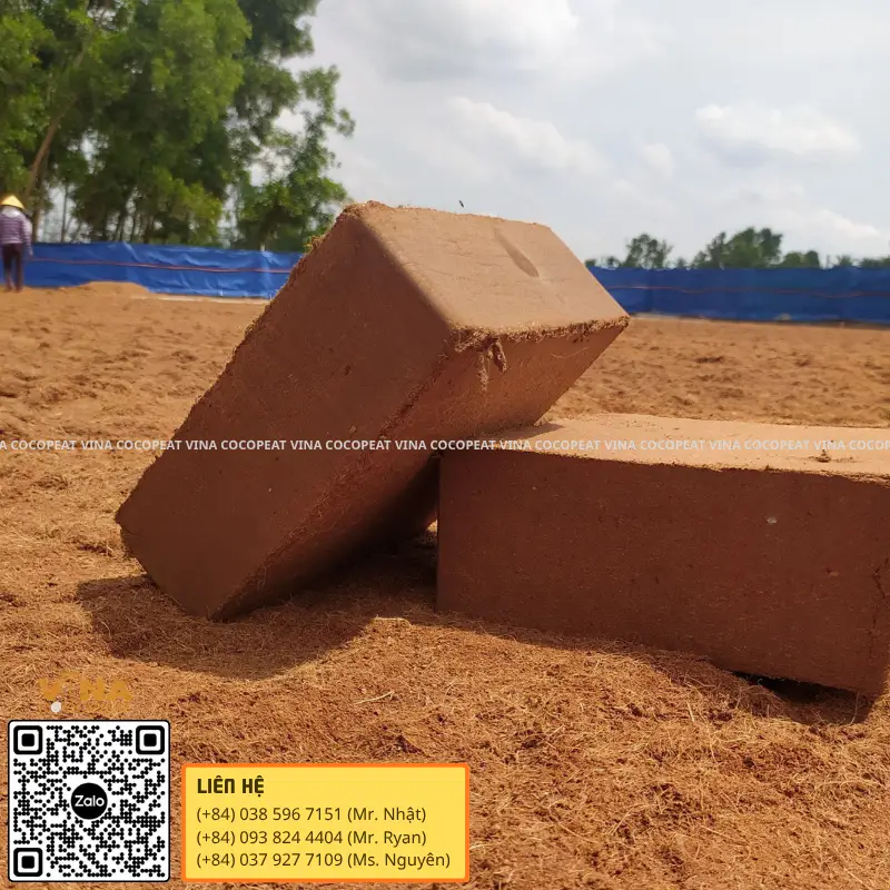 Mụn dừa block xuất khẩu ép nén tiết kiệm chi phí vận chuyển quốc tế