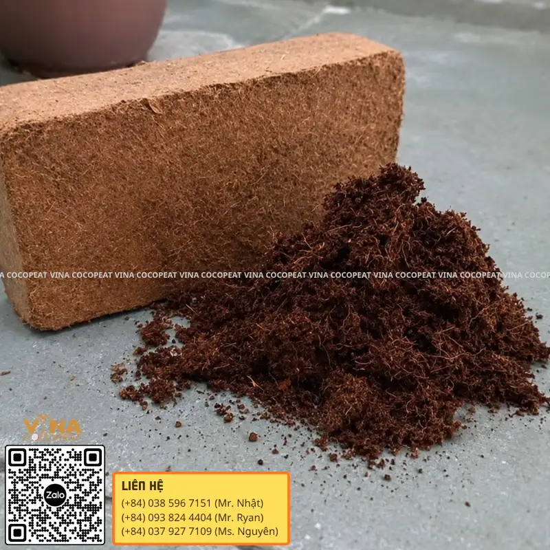 Mụn dừa ép khối và mụn dừa tơi dùng làm giá thể trồng cây