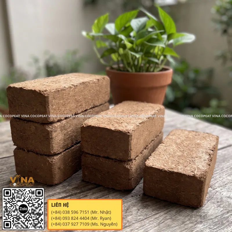 Các viên mụn dừa Low EC ép khối dùng cho trồng cây