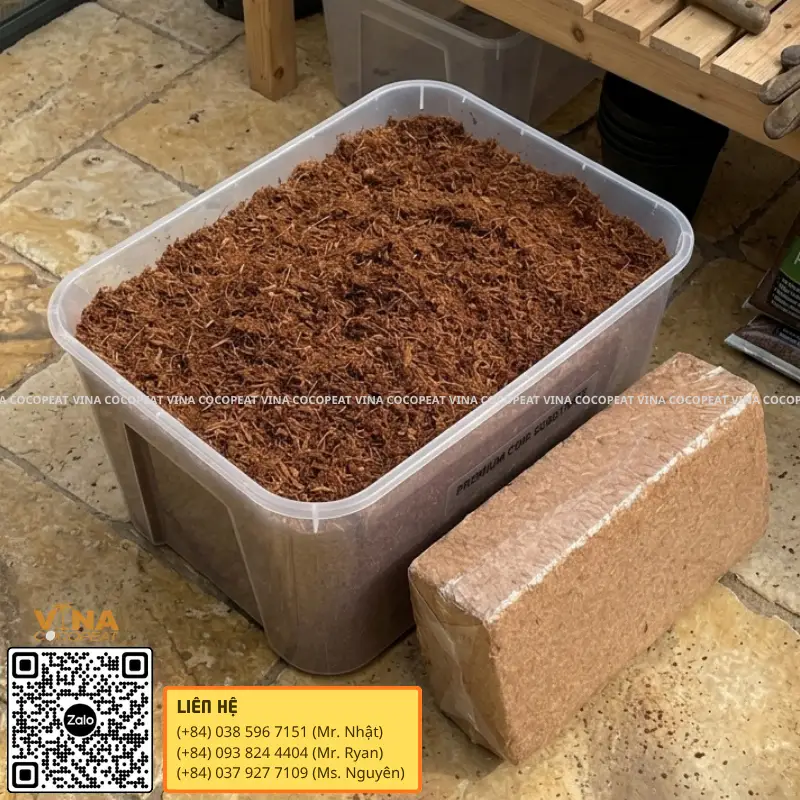 Mụn dừa ép khối trước và sau khi ngâm nở bằng nước sạch