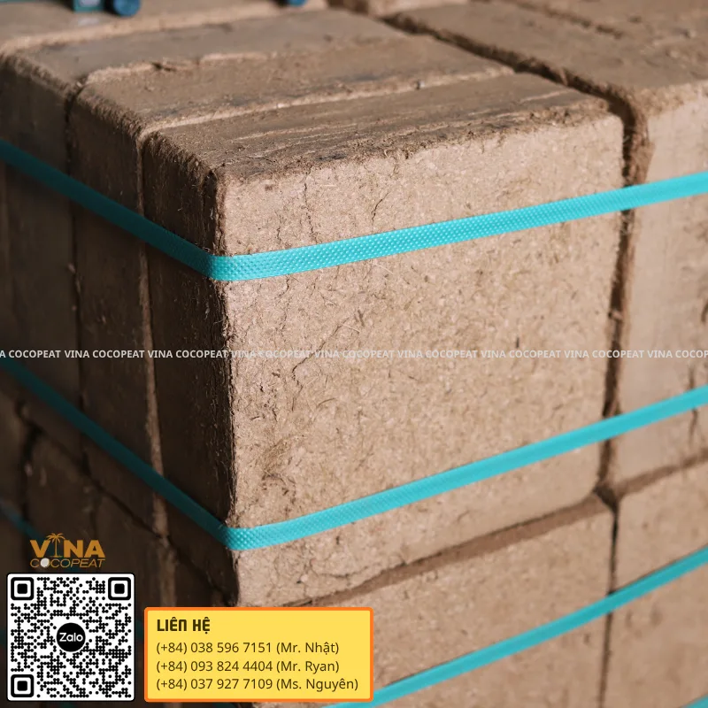 Mụn dừa số lượng lớn đóng đai chắc chắn dành cho đơn hàng container