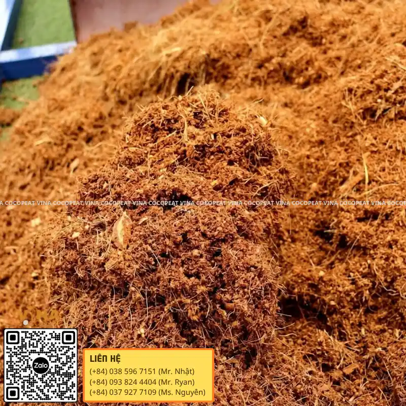 Kết cấu mụn dừa tơi xốp dùng phối trộn giá thể trồng cà tím trong chậu