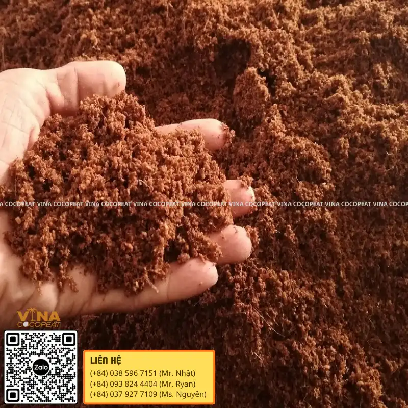 Mụn dừa xuất khẩu đã xử lý có kết cấu tơi xốp đạt tiêu chuẩn chất lượng