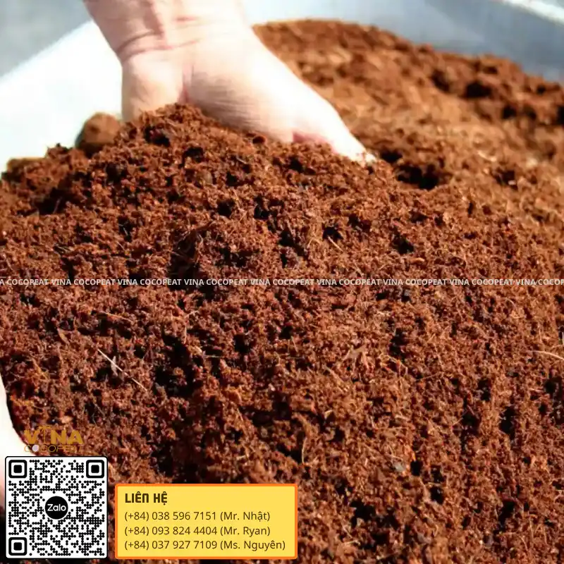 Cấu trúc mụn dừa xuất khẩu Low EC sạch, tơi xốp và ổn định pH cho giá thể trồng cây