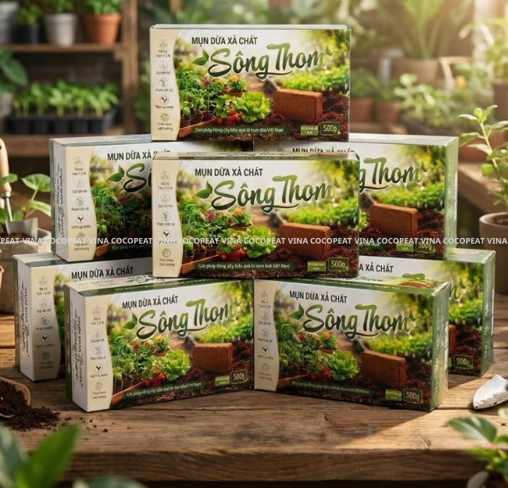 Mụn dừa xả chát Sông Thom đã xử lý dùng làm giá thể trồng cây