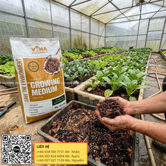 Giá thể mụn dừa phối trộn phân hữu cơ tỷ lệ 5 3 2 cho rau ăn lá