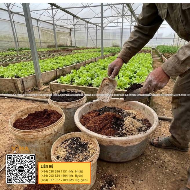 Công thức phối trộn mụn dừa Sông Thom với đất sạch, phân hữu cơ và trấu hun để làm giá thể trồng rau