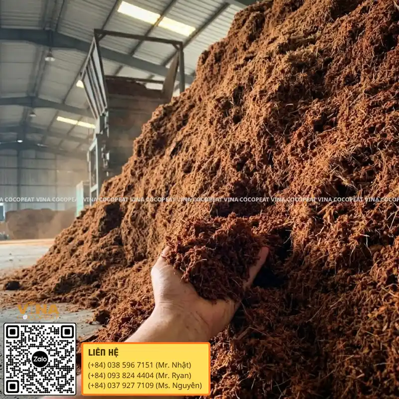 Giá thể mụn dừa dạng tơi tại nhà máy Vina Coco Peat