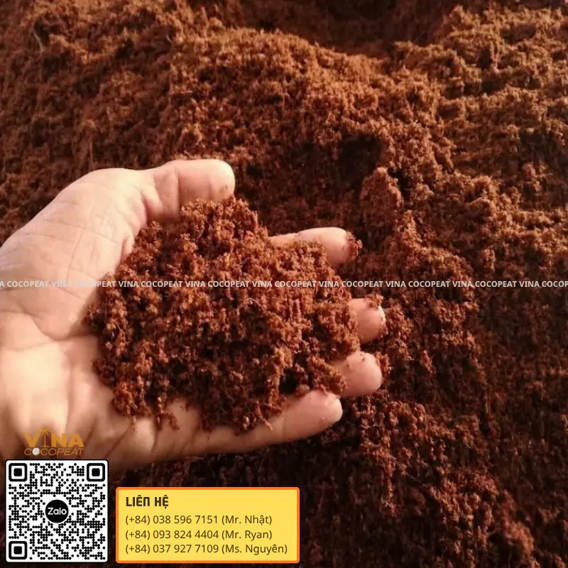 Mụn dừa đã qua xử lý làm giá thể trồng cây
