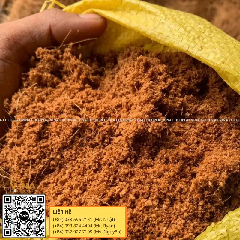 Cấu trúc mụn dừa tơi xốp giúp duy trì khoảng không khí quanh rễ cây