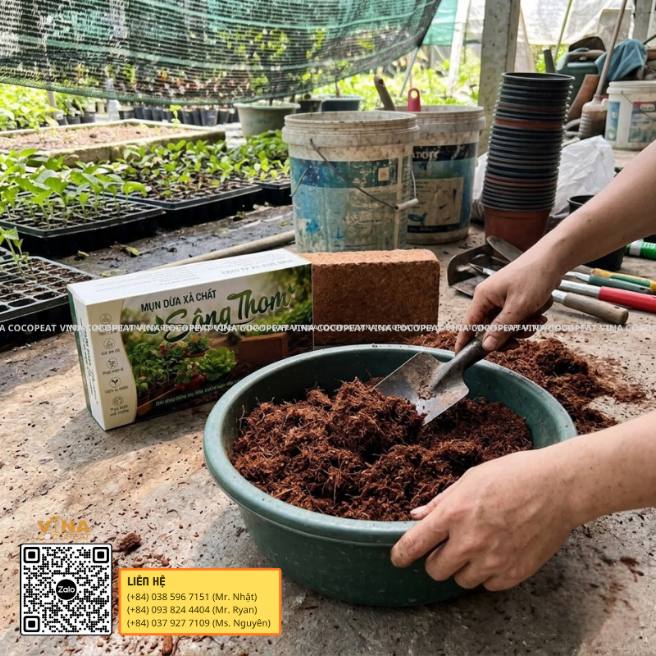 Cách phối trộn giá thể mụn dừa xả chát Sông Thom cho cây giống tại vườn ươm
