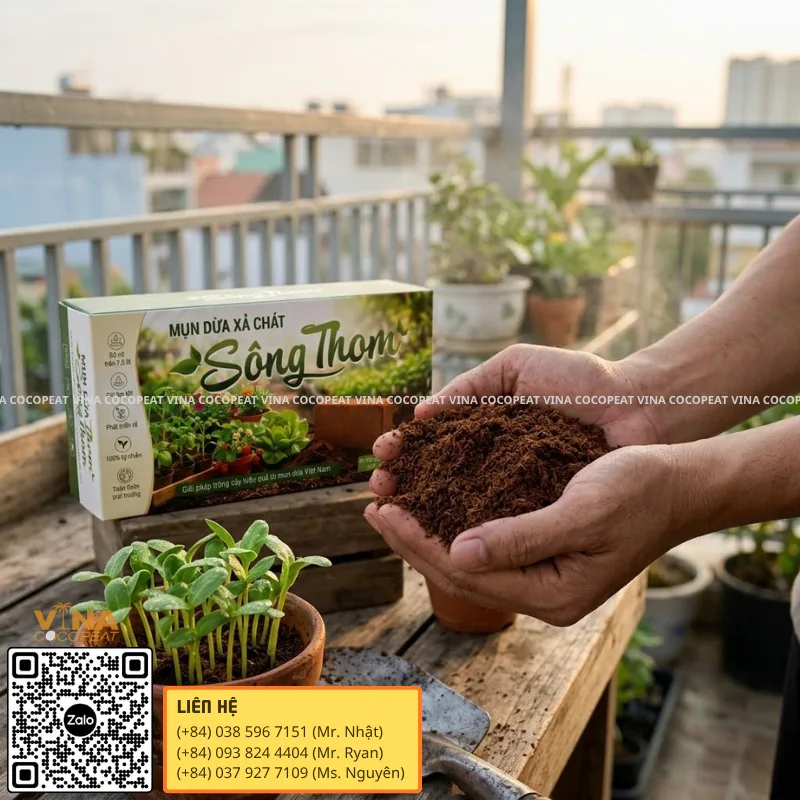 Giá thể trồng rau sạch từ mụn dừa xả chát Sông Thom đã xử lý