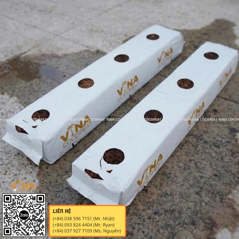 Grow Bag xơ dừa đục sẵn lỗ trồng cây mâm xôi