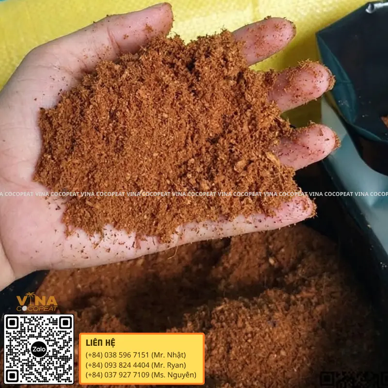 Mụn dừa trồng cây đã xử lý có cấu trúc tơi xốp giúp vùng rễ thông thoáng