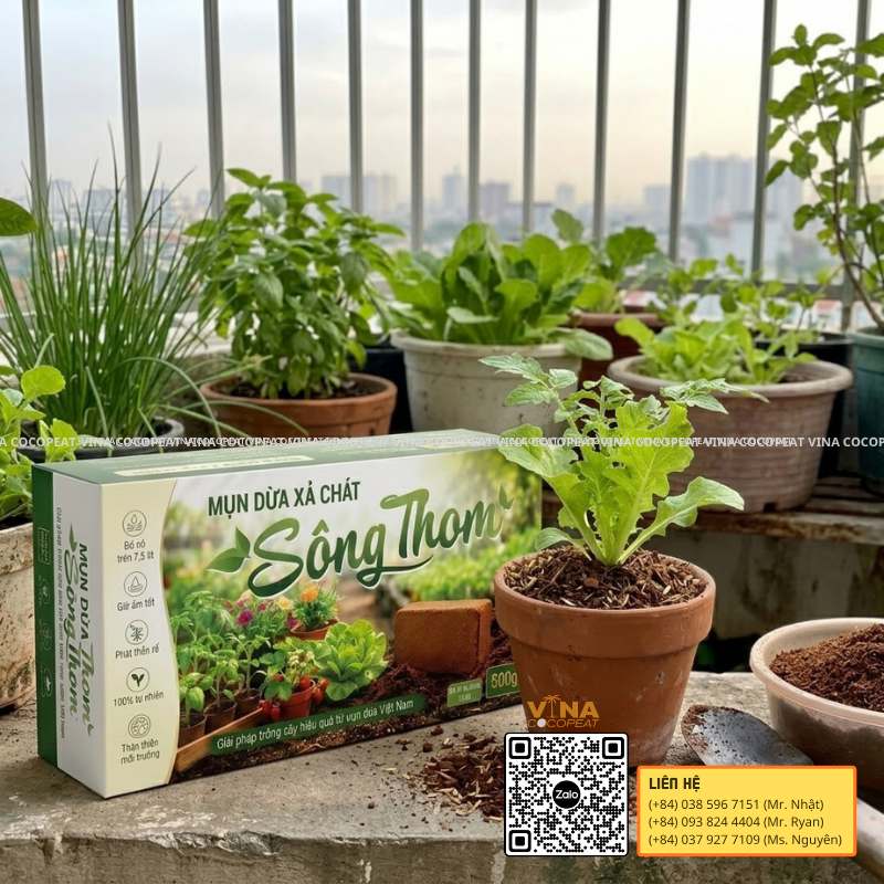 Mụn dừa Sông Thom trồng cây giúp giá thể tơi xốp và giữ ẩm cho cây