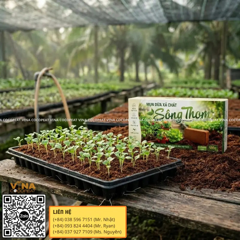 Mụn dừa xả chát Sông Thom trồng rau mầm tơi xốp và giữ ẩm tốt