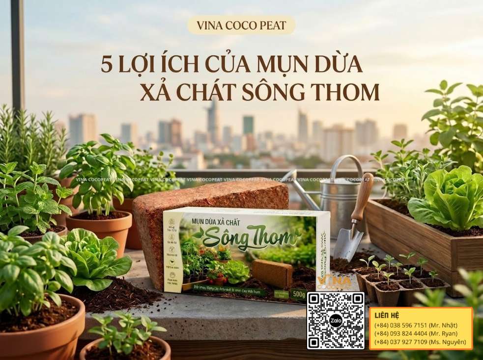 Mụn dừa xả chát Sông Thom cho vườn rau sân thượng và ban công tại nhà