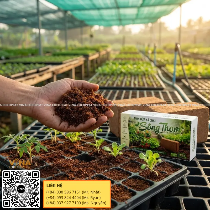 Mụn dừa xả chát Sông Thom tơi xốp dùng làm giá thể ươm cây con