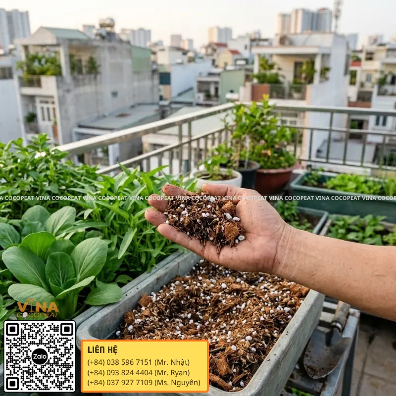 Tỷ lệ phối trộn mụn dừa với trấu hun và Perlite cho vườn rau sân thượng