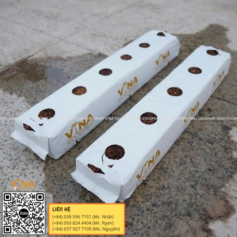 Xơ dừa ép thẻ Grow Bag chuẩn bị làm giá thể trồng dưa lưới trong nhà màng
