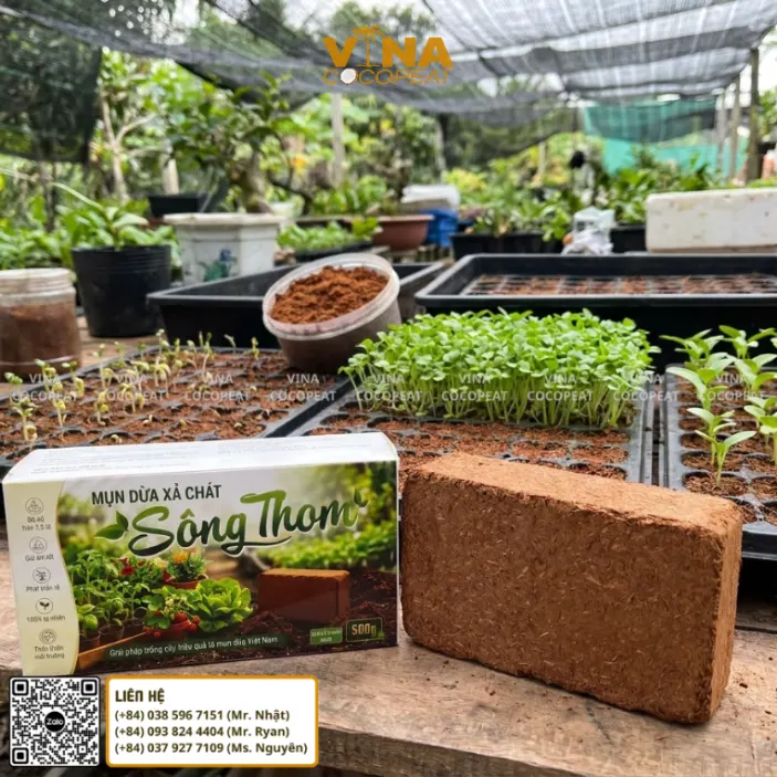 Viên nén mụn dừa Sông Thom dùng gieo hạt ươm cây con và trồng rau mầm